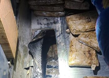 Gabinete de Seguridad detiene a dos personas con 50 kilos de heroína en Sonora