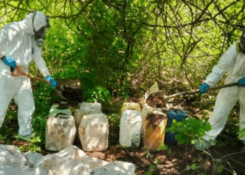 Aseguran 13 áreas de concentración de químicos y un narcolaboratorio en Sinaloa