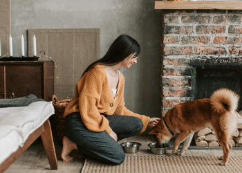 ¿Cómo fortalecer el vínculo con tu mascota? Más allá del cariño, un acto consciente