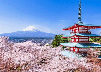 Trump recibirá 250 cerezos de Japón por los más de dos siglos de la Independencia de EU