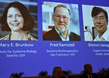 Brunkow, Ramsdell y Sakaguchi ganan Nobel de Medicina 2025 por descubrimientos sobre sistema inmunitario