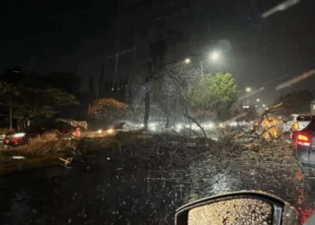 Veracruz emite ALERTA Gris ante amenaza de ‘Norte violento’