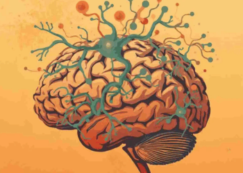 Trastornos de ansiedad se vinculan a bajos niveles de nutrientes en el cerebro, estudio