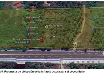 Presentan en la COP30 un modelo de convivencia entre humanos y cocodrilos para enfrentar el cambio climático en Michoacán