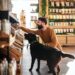 Sustainable Pet Food Foundation: dos encuestas muestran un aumento hacia dietas sostenibles para mascotas