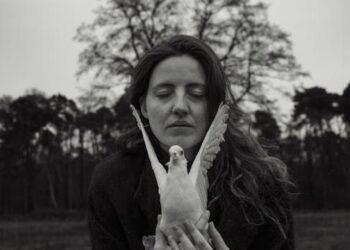 Insight Comunicación & Casa Gaviota: Violencia en pareja y el papel de las empresas en su erradicación