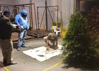 Hallan en terreno baldío en Michoacán el cilindro con gas cloro por el que se emitió alerta en seis estados