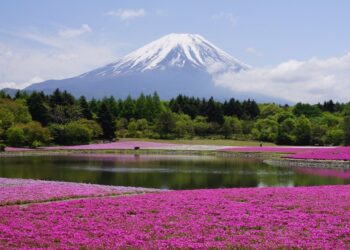 Despegar comparte destinos de montaña, una de las tendencias de viaje para 2026