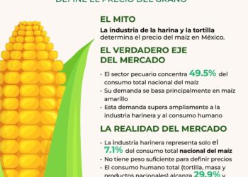El sector pecuario concentra 49.5 % del consumo de maíz en México: GCMA