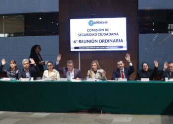 Comisión de Seguridad aprobó por unanimidad reformas para prevenir violencia familiar y fortalecer la seguridad vial