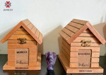 Seguro para mascotas al alza: ¿Vale la pena contratalos? (Video)