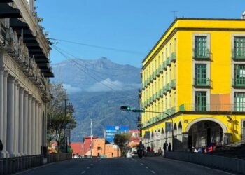 Zonas en Veracruz perciben “fuerte” el sismo de magnitud de 6.5; descartan afectaciones