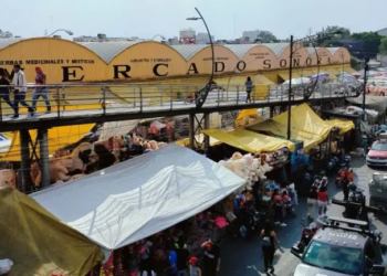 Reforzarán vigilancia en el Mercado de Sonora para evitar venta ilegal de animales