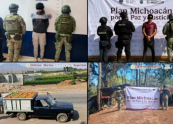 Plan Michoacán: detienen a 12 personas e inhabilitan toma clandestina