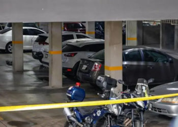 Reporta Sheinbaum caída histórica de 40% en homicidios dolosos al cierre de 2025