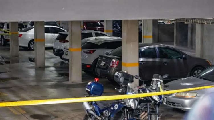 Reporta Sheinbaum caída histórica de 40% en homicidios dolosos al cierre de 2025