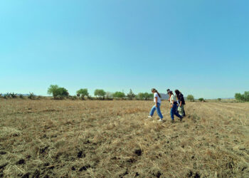 El agua en 2026: por qué la gestión del agua debe partir de la cuenca, el territorio y los datos 
