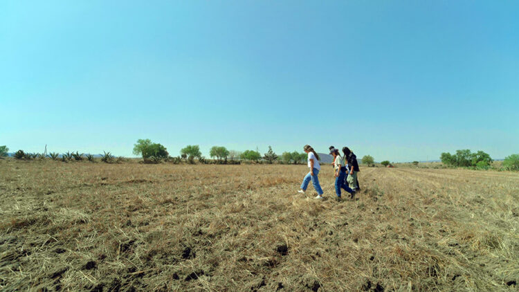 El agua en 2026: por qué la gestión del agua debe partir de la cuenca, el territorio y los datos